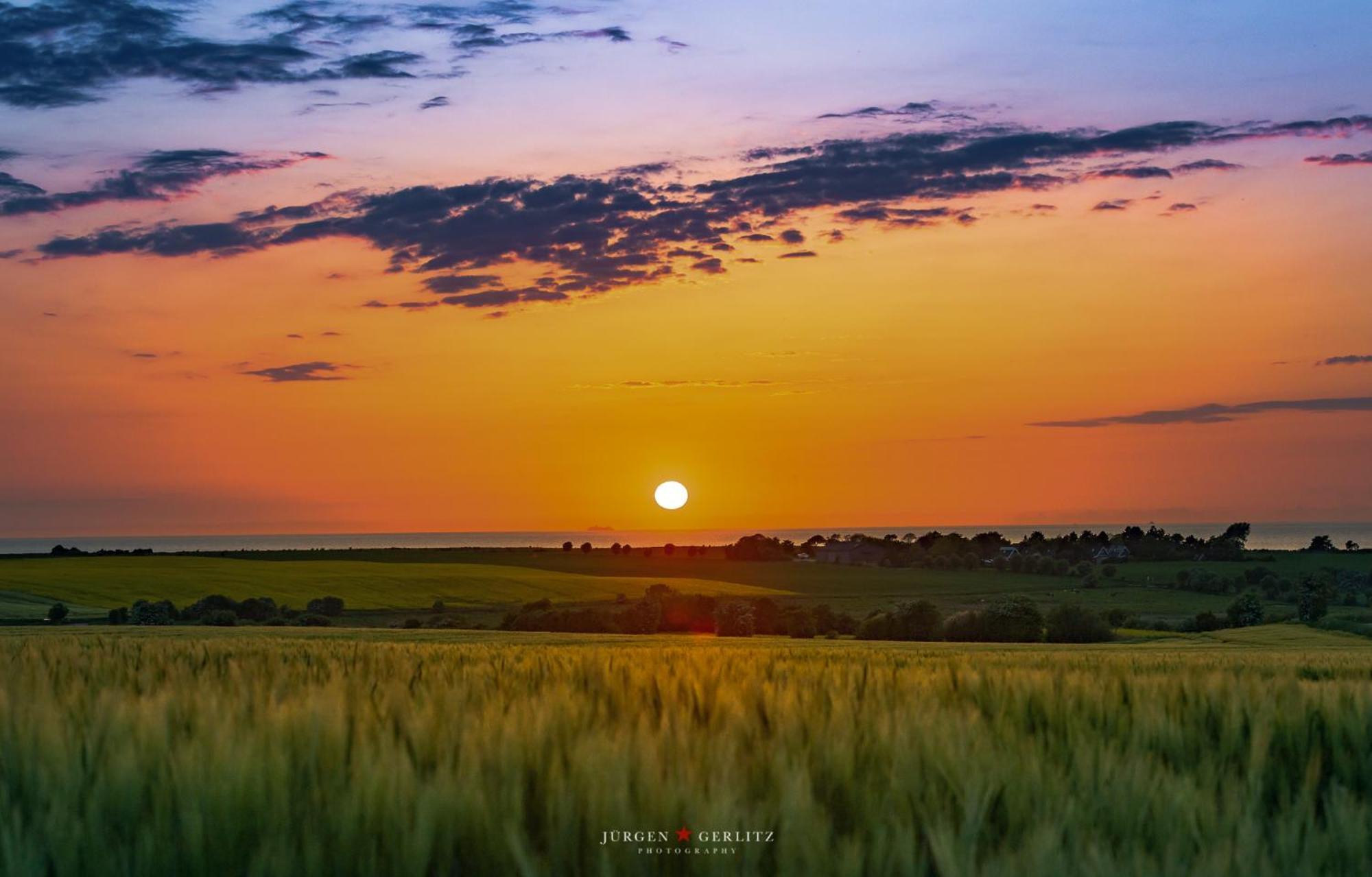 Liegeplatz 1 Daire Schausende Dış mekan fotoğraf